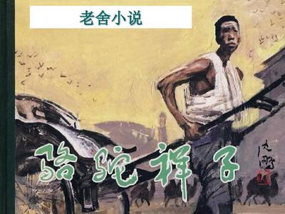 深入了解 蘑菇社区入口